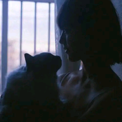 则座诚 - 独家综艺节目在线观看 - 客户端影视